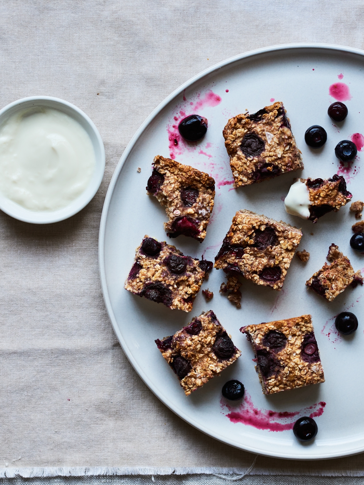 Blueberry Oat Bites